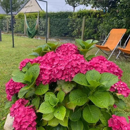 A Vierville-sur- Guest house Vierville-sur-Mer