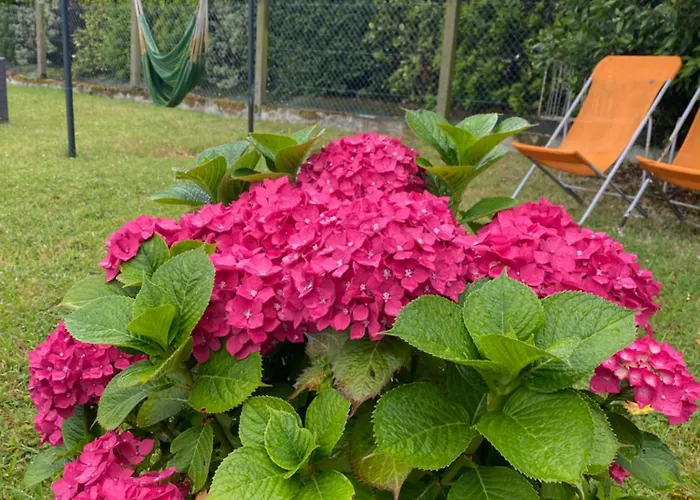 A Vierville-sur- Guest house Vierville-sur-Mer